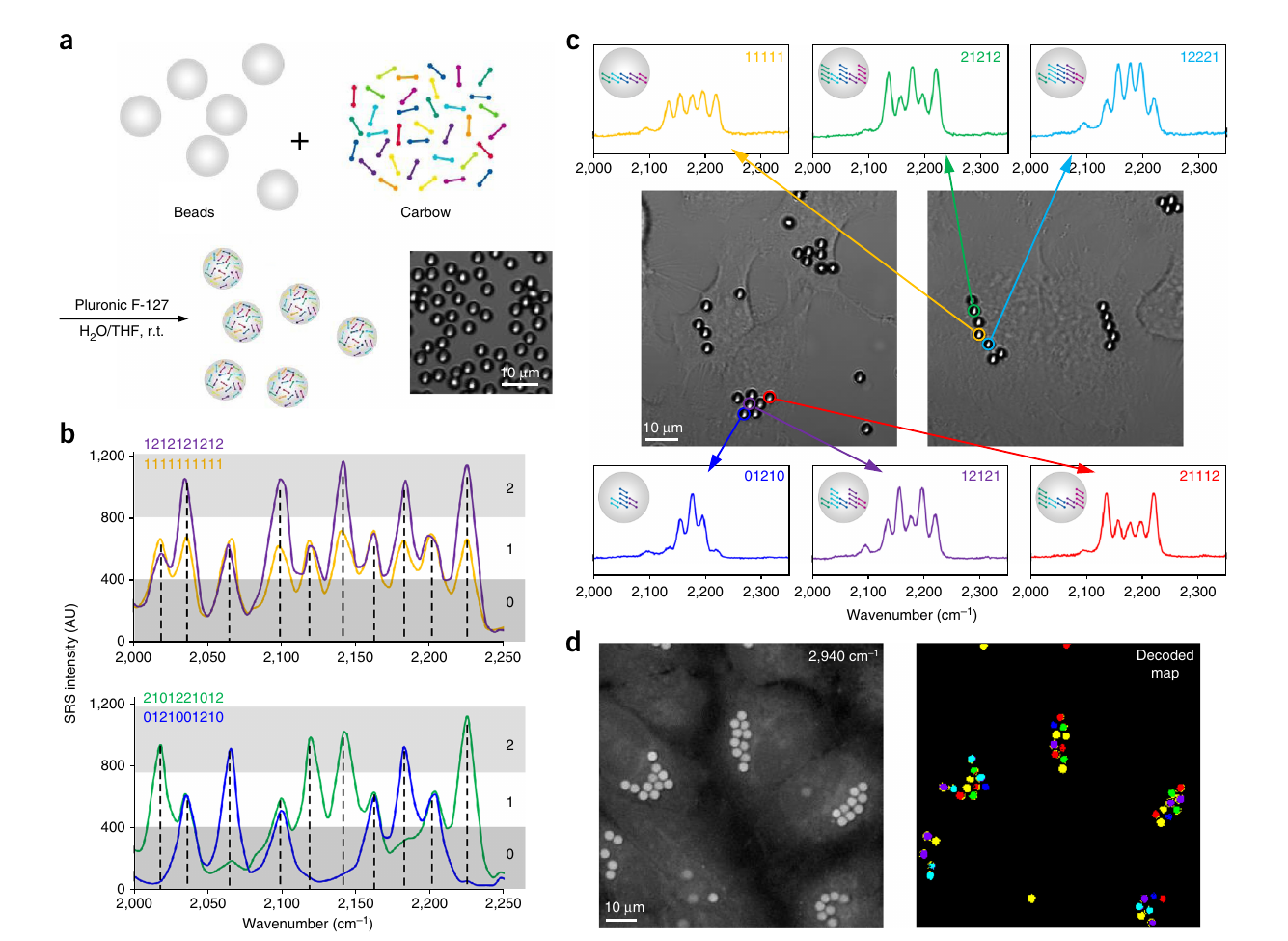 Carbow probes encoding and decoding spectral barcodes in polymer beads and living cells