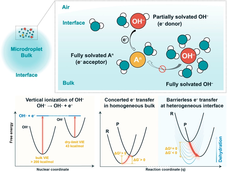 Quantum tunneling model for electron transfer by partially solvated hydroxide at a water interface