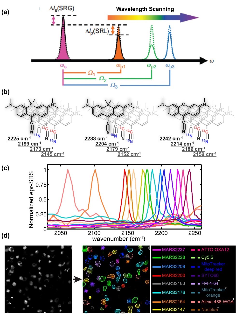 Super-multiplexed vibrational imaging